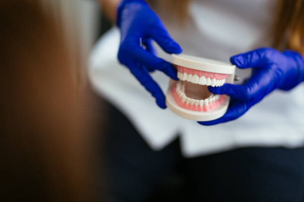 Reliable Bradford, TN Holistic Dental Care Services Solutions